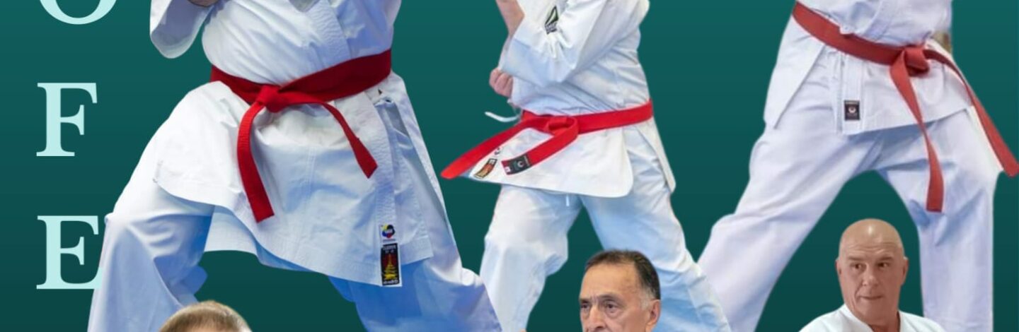 Cartel Trofeo Andalucia Para Karate Y Veteranos