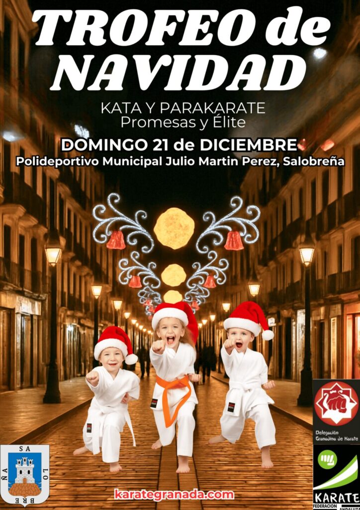 Cartel Web Trofeo Navidad 2025